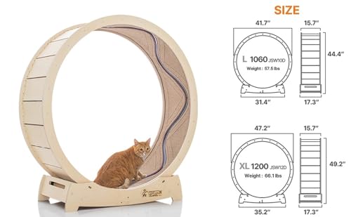 Amazon.com: STAR CATWHEEL